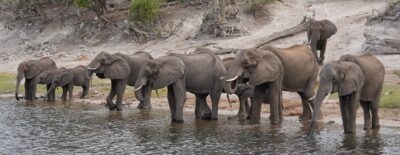 Du bist nicht alleine